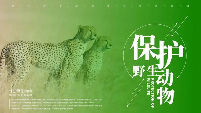 777电玩城官方下载v4.0.3世界野生动植物保护日到了保护野生动物环保主题PP(图1)